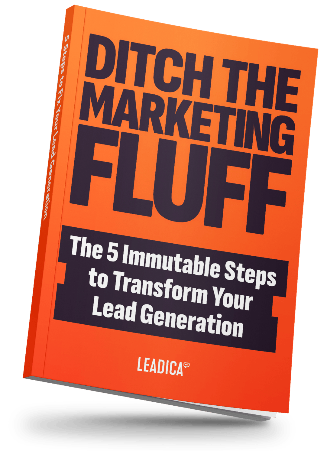 Ditch the Marketing Fluff eBook cover